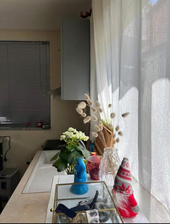 Brilant Studio Apartment City Center 티라나 외부 사진